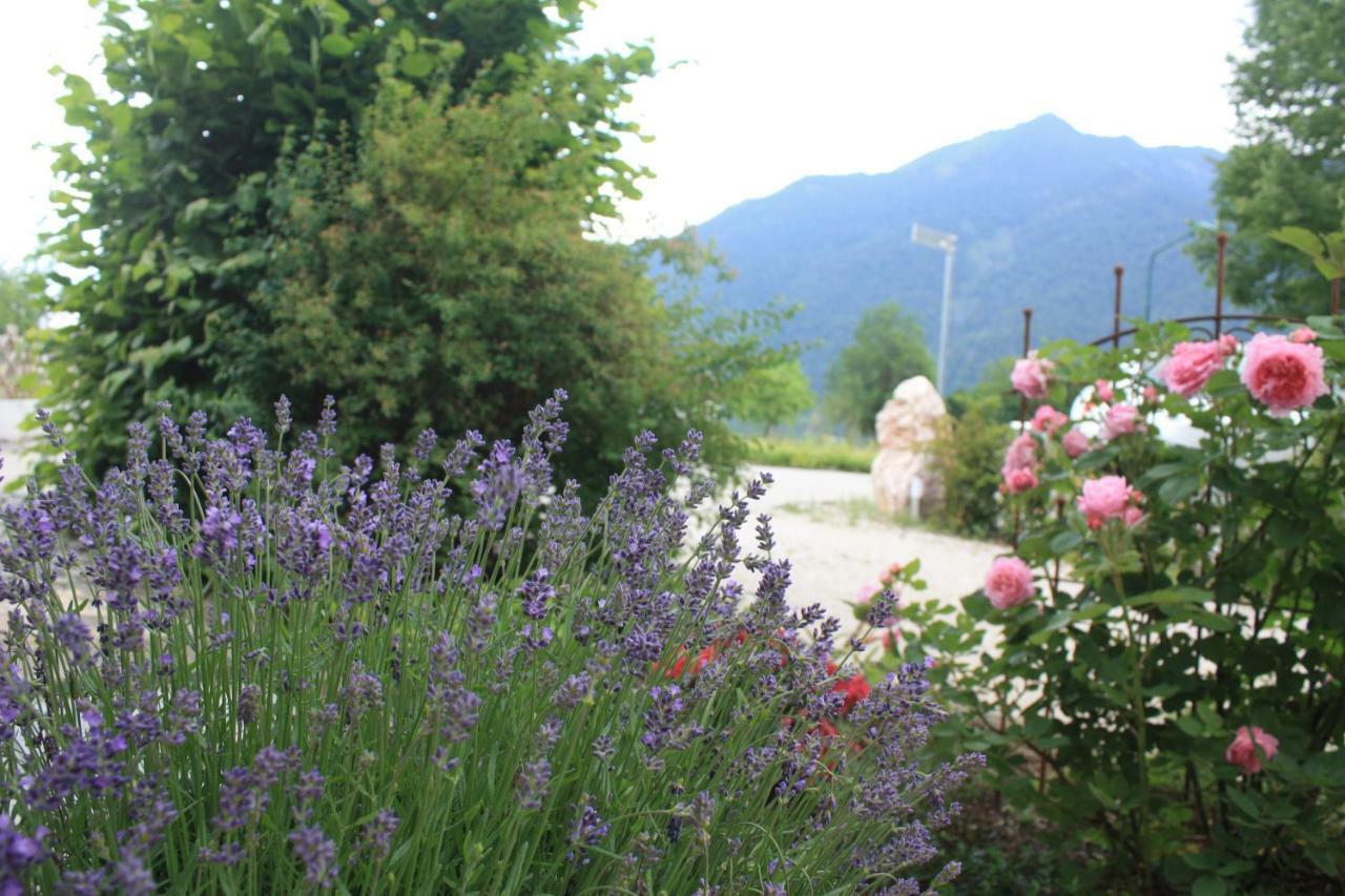 Bed and Breakfast Landlust Ischl à Bad Ischl Extérieur photo